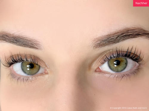 Referenzen-Augen